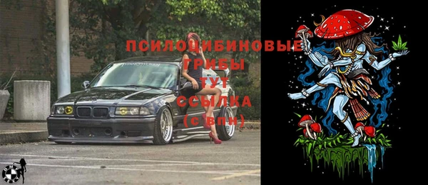 прущие грибы Гусев