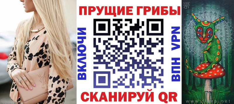 Псилоцибиновые грибы Psilocybine cubensis  hydra ТОР  Салават 