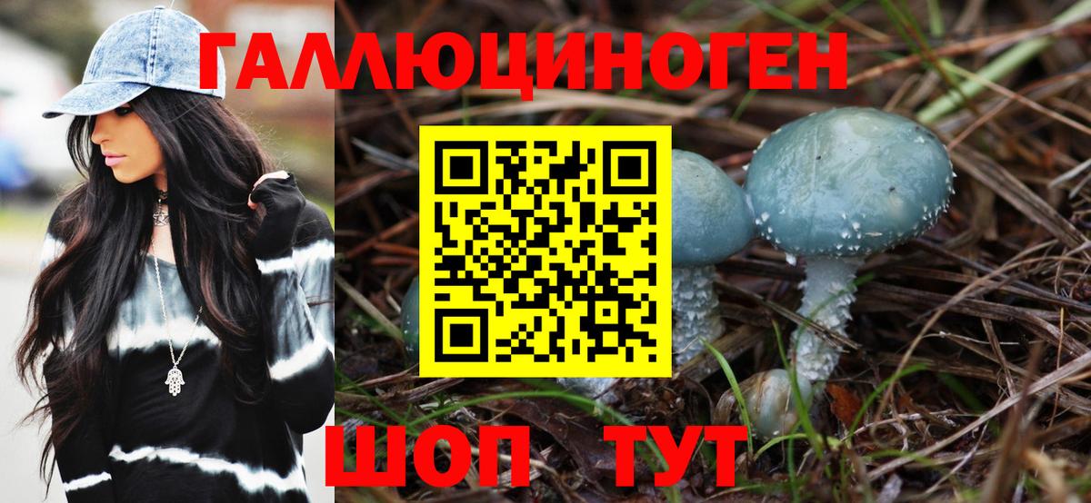 Салават  Псилоцибиновые грибы мицелий  Вход с VPN 