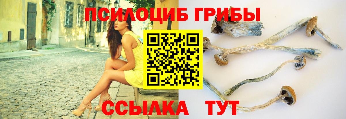 Псилоцибиновые грибы ЛСД Салават
